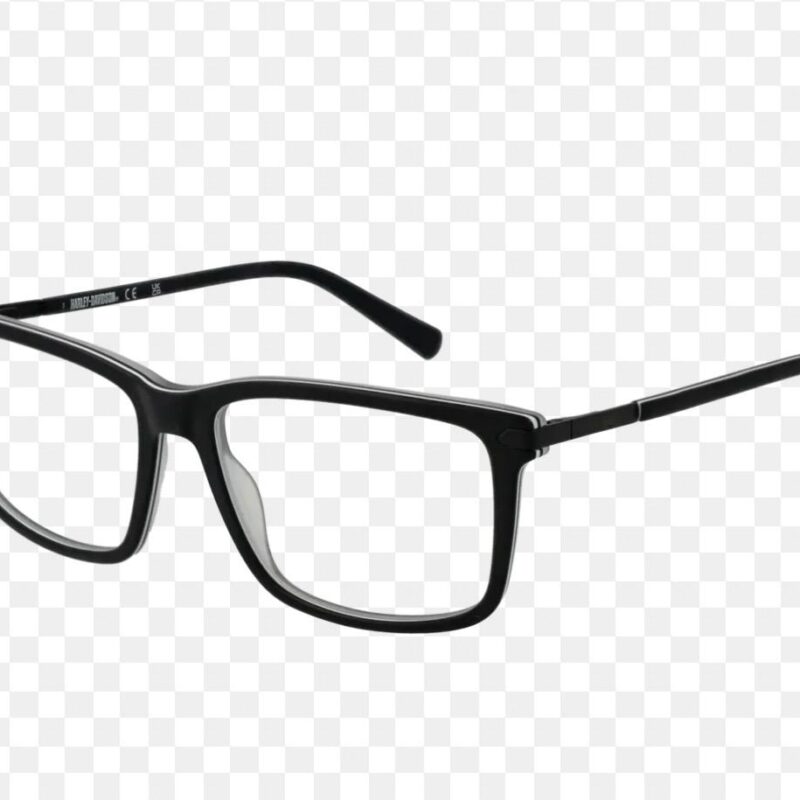 Harley-Davidson HD50048 003 – 55-16-145