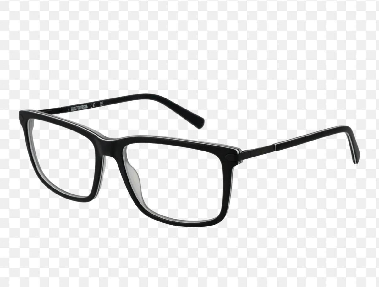 Harley-Davidson HD50048 003 – 55-16-145